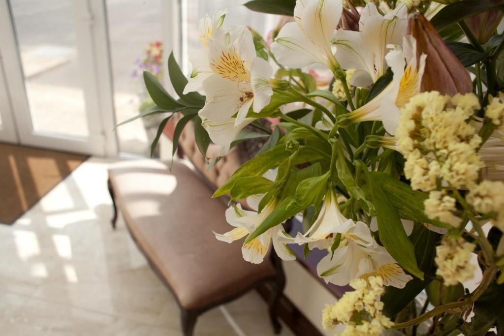 Grovemount House Otel Ennistimon Dış mekan fotoğraf